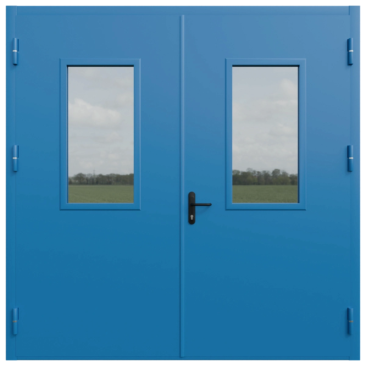 Ворота технические на металле с окном (ВРМО)